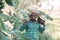 African farmer man holding banana branch and vintage radio at the farm