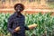 African farmer man holding a fresh corn at organic farm with smile and happy.Agriculture or cultivation concept