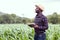 African Farmer stand in the green farm with holding tablet