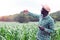 African Farmer stand in the green farm with holding tablet