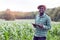 African Farmer stand in the green farm with holding tablet