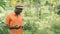 African farmer using smartphone for research banana in organic vegetable farm.Agriculture or cultivation concept