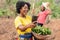 african farmers checking a phone see exciting news