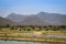 African fields flooded with water, palm trees and mountains