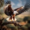 African Fish Eagle flying from tree at Lewa Conservancy, Kenya, Africa  Made With Generative AI illustration
