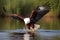 African Fish Eagle (Sub-Saharan Africa) (Generative AI)