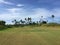 African golf course with palm trees lining the fairway