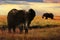 African huge elephants in the Serengeti National Park. Tanzania. African safari.