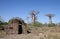 African hut with baobabs