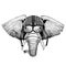 African or indian Elephant wearing motorcycle helmet, aviator helmet Illustration for t-shirt, patch, logo, badge