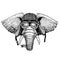 African or indian Elephant wild biker animal wearing motorcycle helmet. Hand drawn image for tattoo, emblem, badge, logo