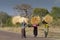 African ladies carrying grass bundles
