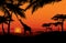 African landscape with animal silhouette. Savanna sunset background.