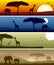 African Landscape Banners