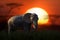 African landscape with close elephant and big sun