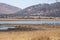 An African landscape close to an earth dam with herds of impala and wildebeest.