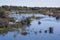 African Landscape: Delta River Coursing through Trees