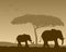 African Landscape & Elephants