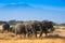 African landscape with elephantsand Kilimanjaro Mountain