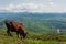 African Landscape. Ethiopia