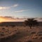 African landscape, Kalahari Desert, Namibia made with Generative AI