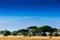 African landscape with Kilimanjaro Mountain