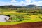 African landscape with rice fields