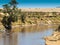 African landscape with a river and a crocodile