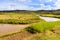 African landscape with river running through rice fields