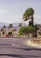 African landscape on a sunny day. asphalt road going among palms and bushes with flowers