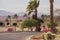 African landscape on a sunny day. asphalt road going among palms and bushes with flowers