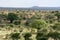 African Landscape - Tarangire National Park. Tanzania, Africa