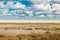 African landscape with wild animals, clouds on the sky. Herds of zebra near the water hole in the desert. Zebra and storm evening