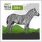 African landscape with zebra - vector illustration in realistic style
