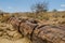 African landscapes - Damaraland Namibia