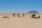 African landscapes - Namib desert Namibia