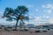 African landscapes - Namib desert Namibia