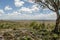 African landscapes - Serengeti National Park Tanzania