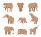 African large elephants. Big wild elephants exact vector pictures set