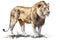 African lion Animals and wildlife isolate on white background