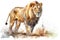 African lion Animals and wildlife isolate on white background