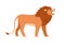 African lion standing and roaring. Wild male feline profile with hairy shaggy mane. Angry jungle cat animal threatening