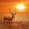 African lonely antelope at beautiful sunset with birds in the Serengeti National Park. Tanzania. Wild nature of Africa.