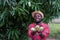 African man farmer  show mango fruit in organic farm.Agriculture or cultivation concept