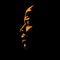 African Man portrait silhouette in contrast backlight. Vector