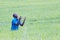 African man travelers  praying for god and smile with happy among green meadows