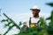 African man in uniform working in garden with hedge cutter