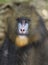 African mandrill africa congo monkey ape