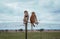 African monkeys sit on the fence of some territory in the African Savannah, netting