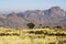 African mountains, Andringitra national park